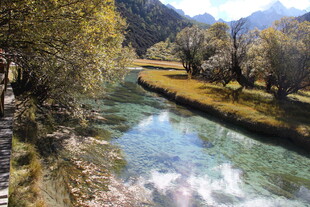 山间清澈溪流秋日美景