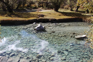 清澈溪流中的石头与周边景色