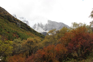 山间秋景 多彩植被与远山