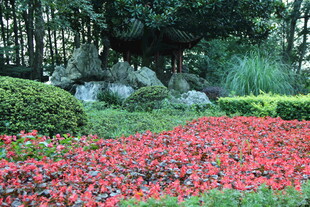 繁花似锦的园林景观