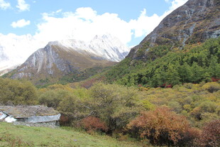 山间秋景 自然村落风光