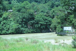 山林边的开阔草地景观