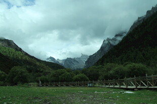 山间绿野木桥 自然景致