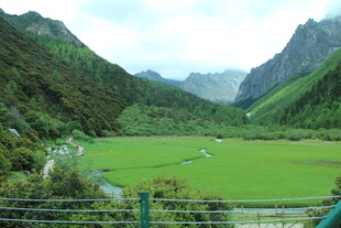 山间绿野美景如画