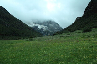 山间绿野中的巍峨雪山