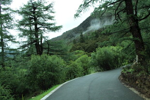 山间蜿蜒公路 绿意盎然