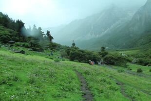 山间绿野 云雾缭绕之景