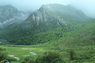 山间绿野 云雾缭绕美景