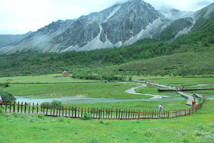 山间绿野中的蜿蜒木栈道