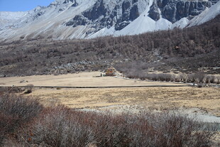 雪山下的开阔原野风光