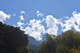 蓝天白云下的山林景致