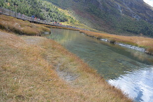 山间清澈溪流与金黄草地