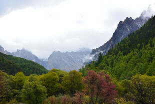 山林云雾间的秀丽景致 稻城