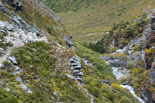 山间崎岖小径与葱郁植被 稻城