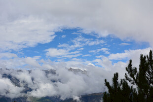 蓝天白云下的山林美景 稻城