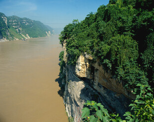 壮丽江畔悬崖绿植景观