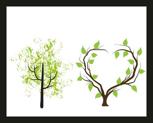 两棵造型独特的绿色树木