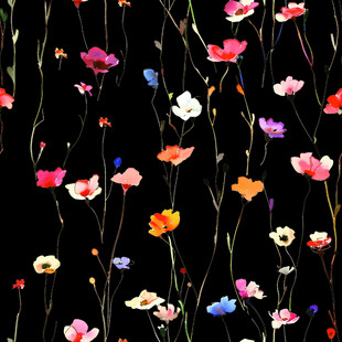 黑色背景上的多彩花卉图案
