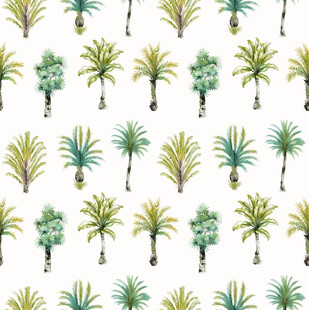 热带棕榈树图案背景