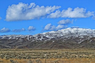 雪山下的广袤旷野