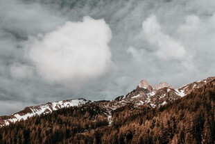 云雾缭绕的山林与雪山