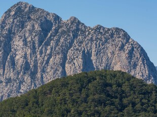 巍峨山峰与葱郁植被