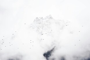 空中雪花纷飞的美丽景象