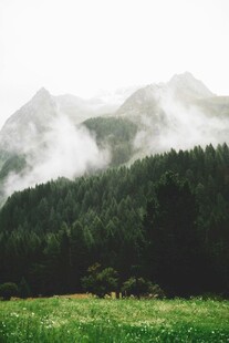 山间云雾缭绕的绿野风光