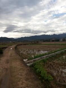 乡村田野间的泥泞小路