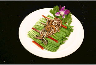 创意蔬菜摆盘猫头鹰造型