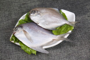 盘中鲜美的两条银鲳鱼
