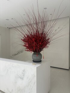 现代简约前台的红植装饰