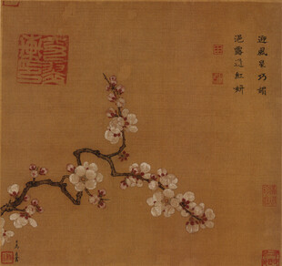 古画中的绽放梅花