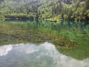 翠绿山林间的澄澈湖水