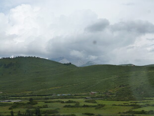 草原风光 绿意盎然的景致
