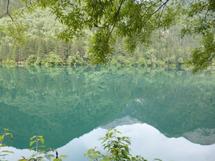 清幽湖水与葱郁林木之景