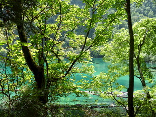 林间翠湖 自然清新景致