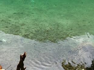 清澈海水与岸边景象
