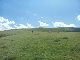 草原风光 远处羊群点缀