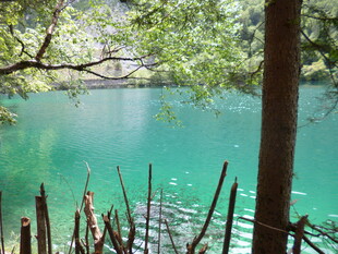 湖畔绿意盎然的静谧景致