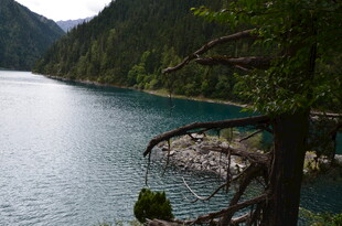 山间幽蓝湖水与岸边树枝