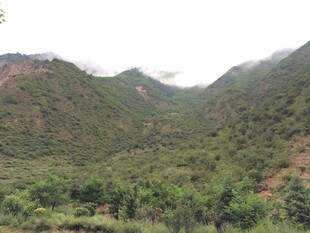 青山绿树间的秀丽山景
