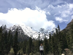 雪山下的森林美景