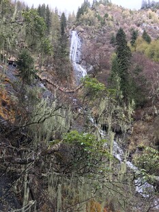 山间瀑布 林木环绕之景