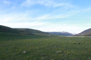 广袤草原与远处山峦风光