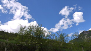 蓝天白云下的山林美景