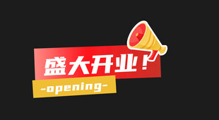 盛大开业标志设计