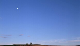 蓝天之下的静谧原野