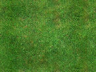 翠绿草地背景纹理图