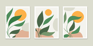 三幅植物插画艺术作品